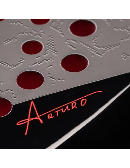 Head Coello Motion 2025